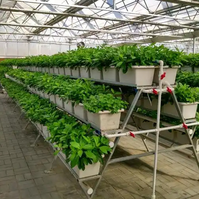 潜江市植物工厂温室大棚 - 方案