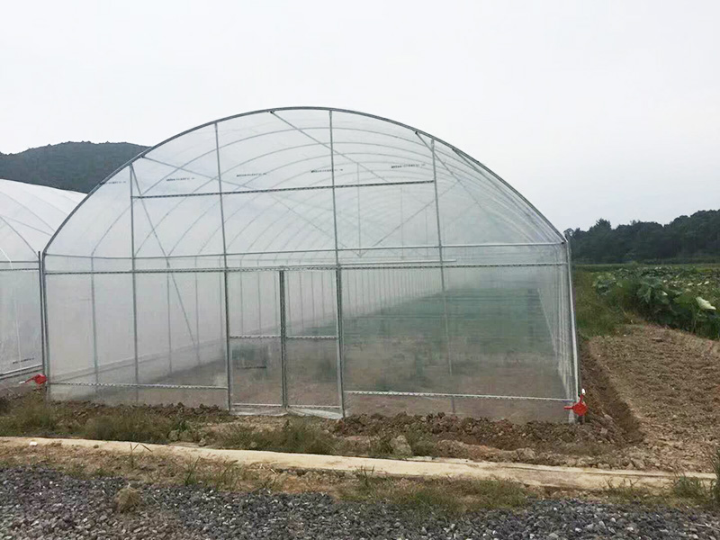 潜江市薄膜大棚智能温室 - 方案